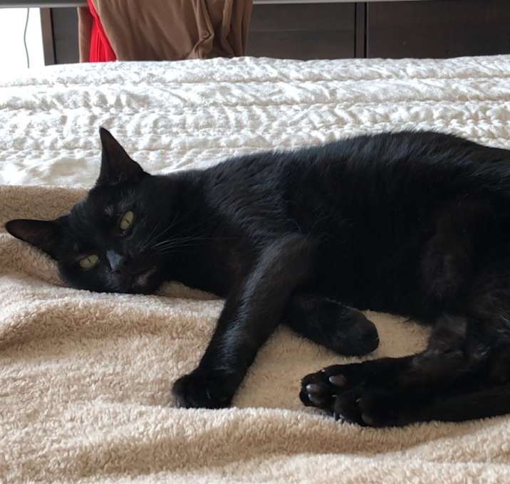 Photo of Minka