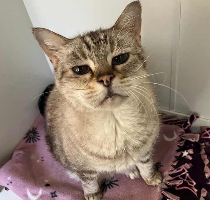 Photo of Kiki