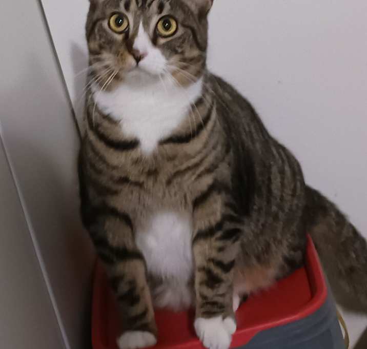 Photo of Freida