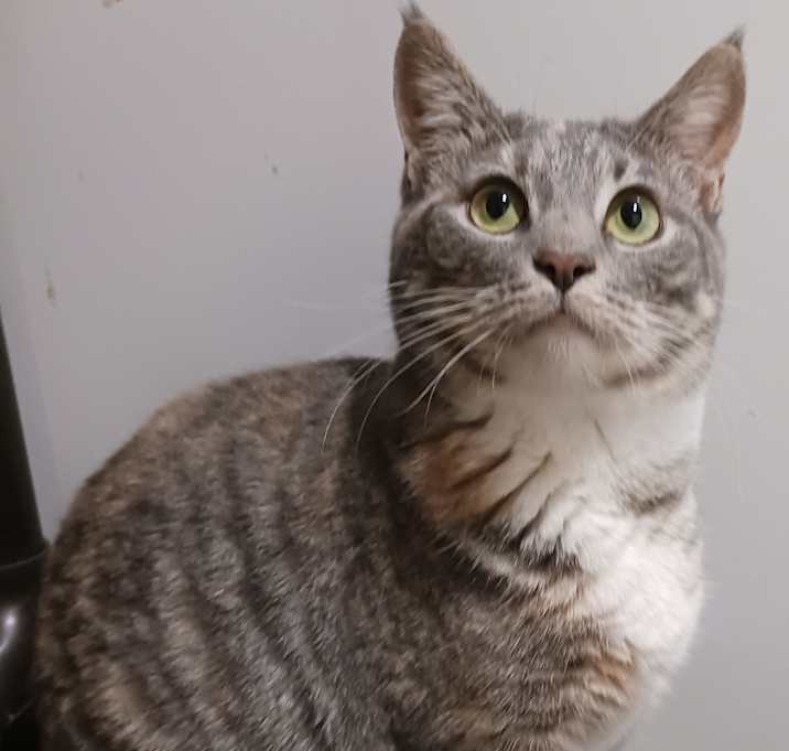 Photo of Frannie