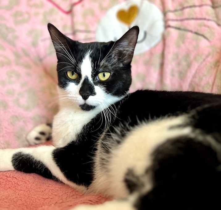 Photo of Diamond