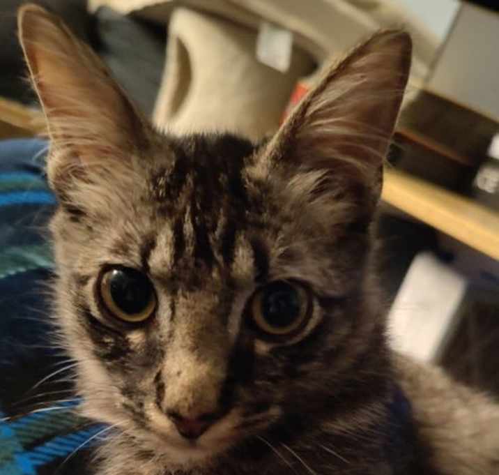 Photo of Mr.  Peepers