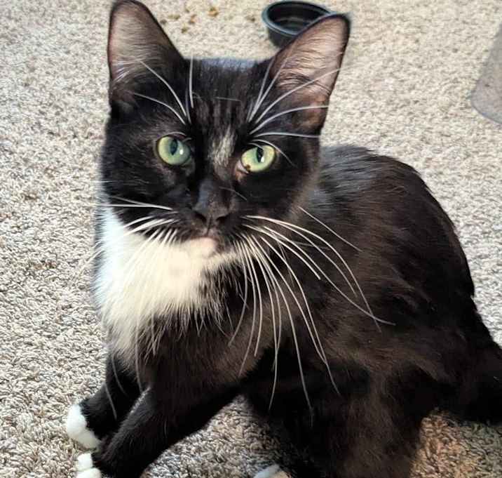 Photo of Sammy