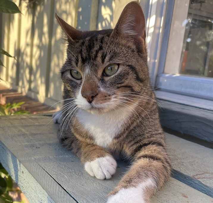 Photo of Charlie (In/Out)