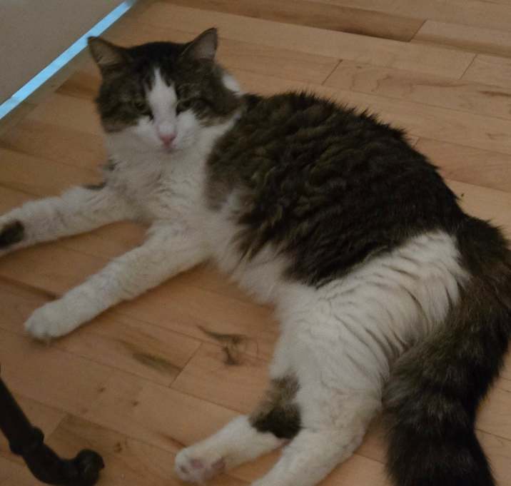 Photo of Howie