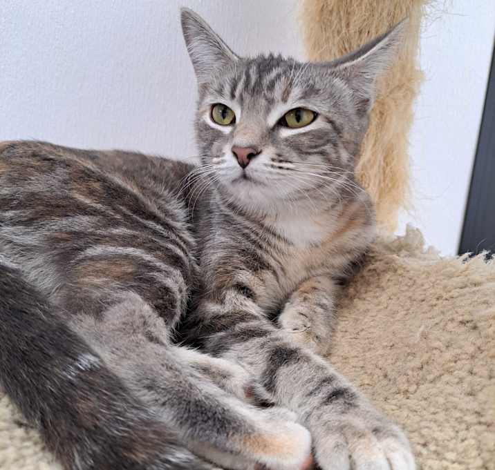 Photo of Penelope