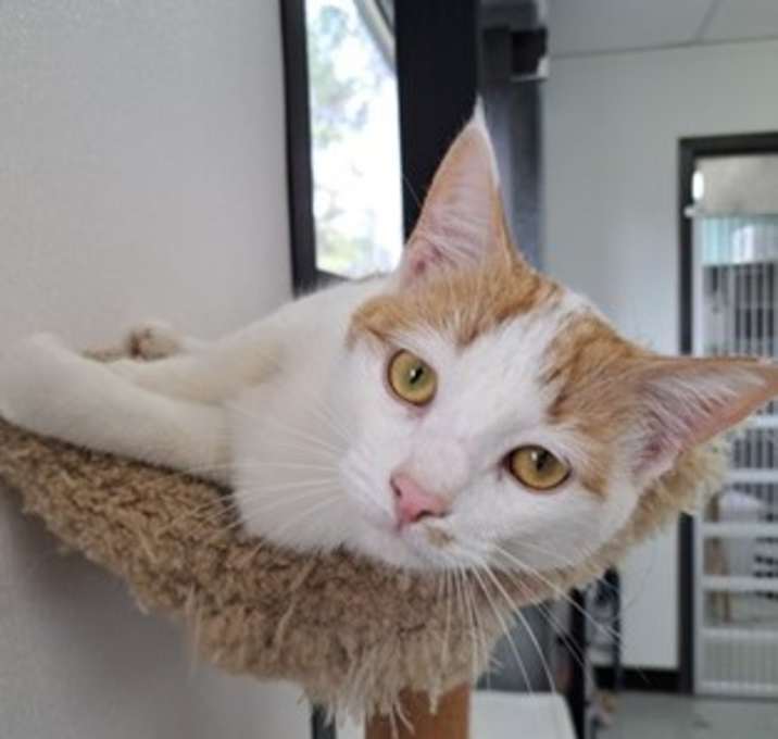 Photo of Herbie