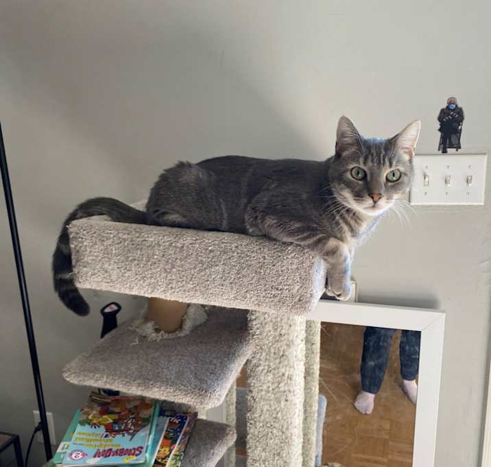 Photo of Ash