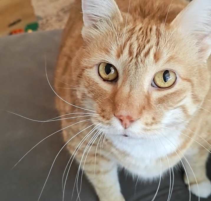 Photo of Jake