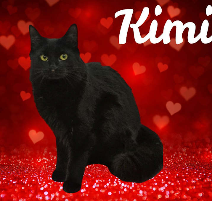 Photo of Kimi