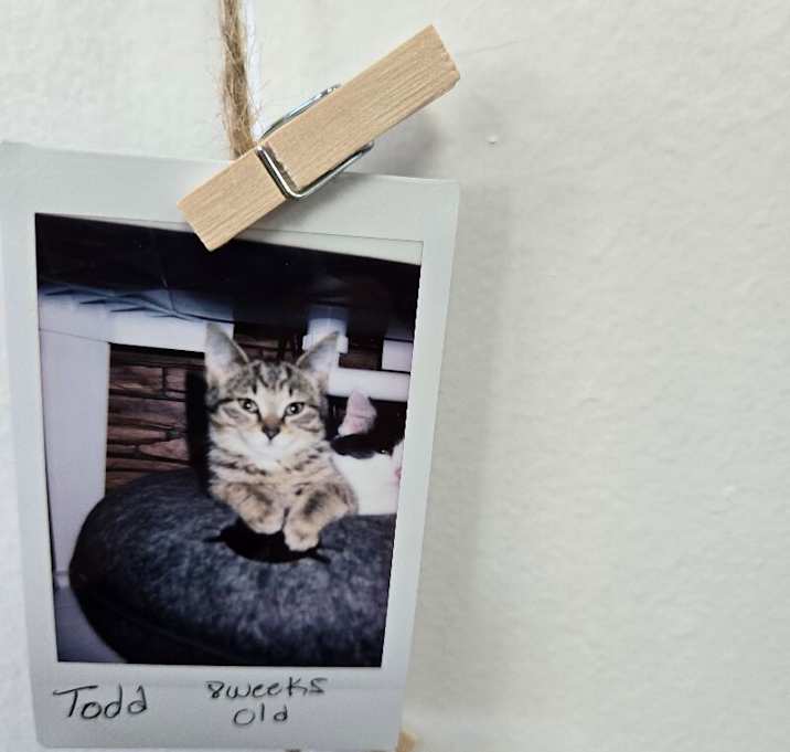 Photo of Todd