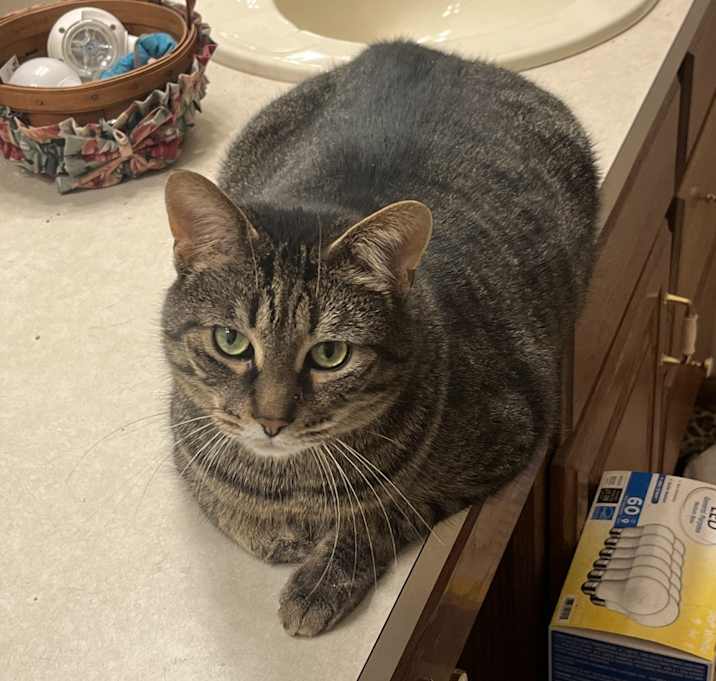 Photo of Mr. Tom