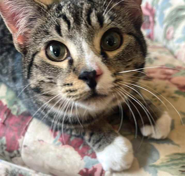 Photo of Arthur