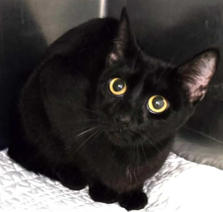 Photo of 656293 Lucy