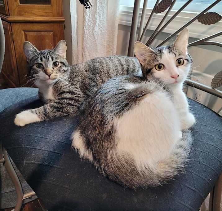 Photo of Sissy & Beau