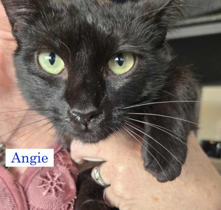 Photo of Angie