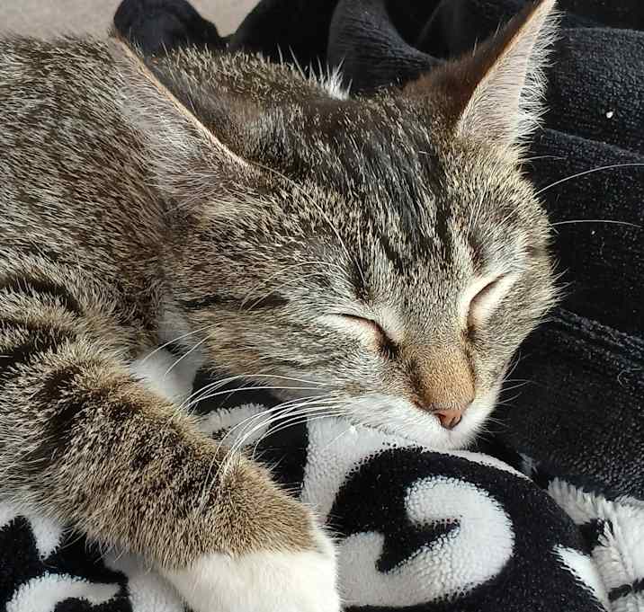 Photo of Susan