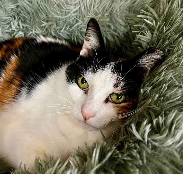 Photo of Emma