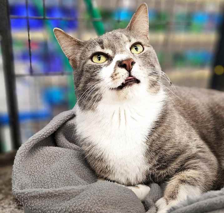 Photo of Rascal