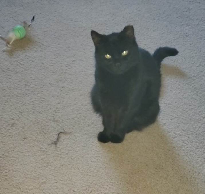 Photo of Zoe