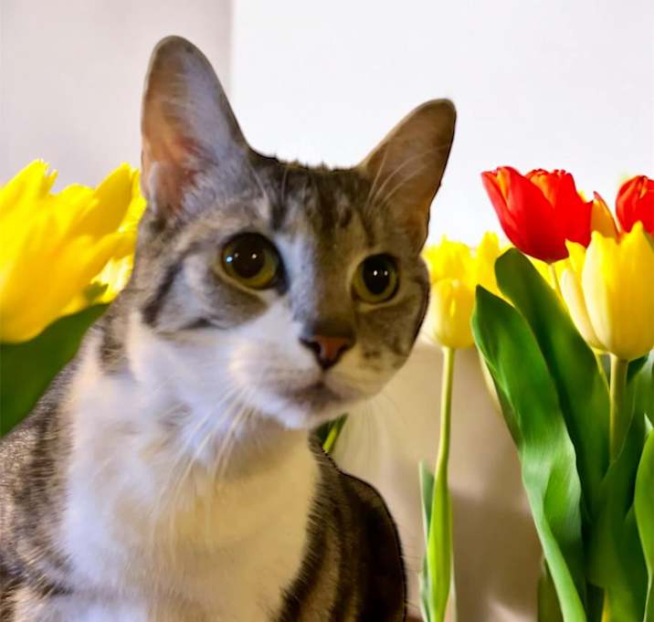 Photo of Tutti Frutti