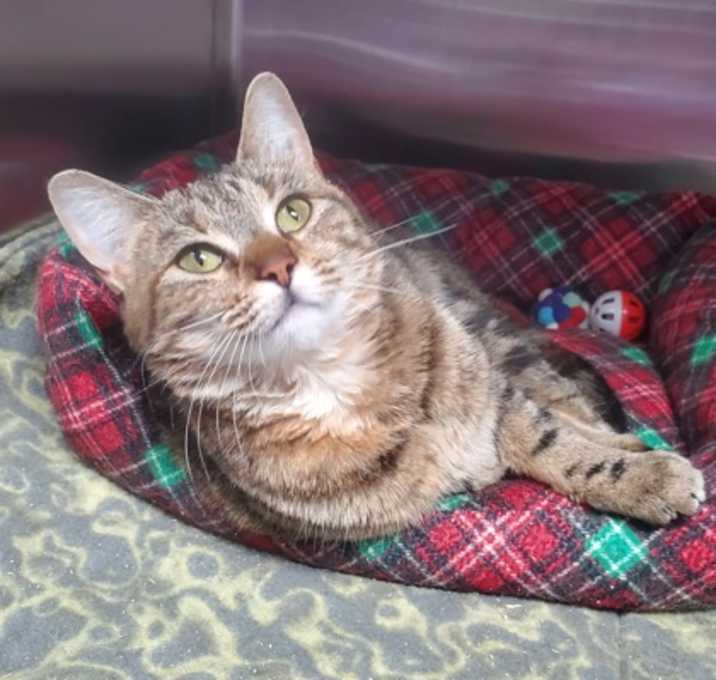 Photo of Matilda