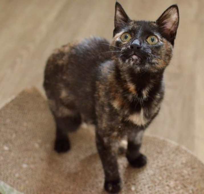 Photo of Evie