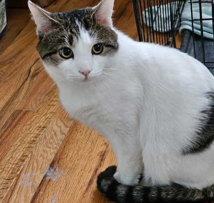 Photo of Goliath