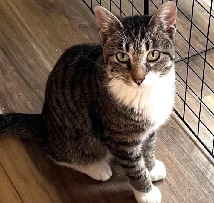 Photo of Tommy