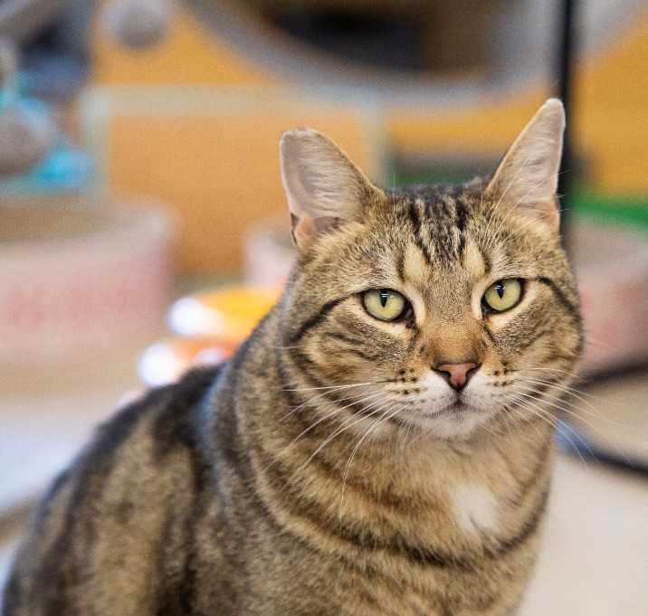 Photo of Charlie
