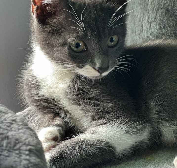 Photo of Alonna