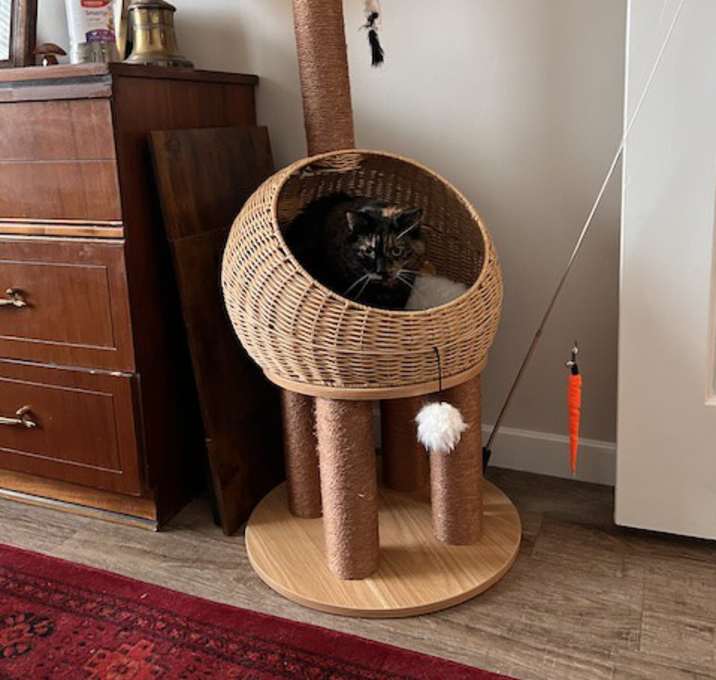 Photo of Missy