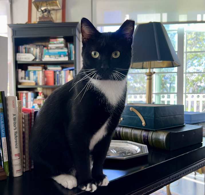 Photo of Pepper