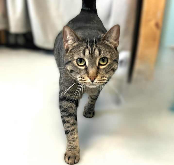 Photo of Gia