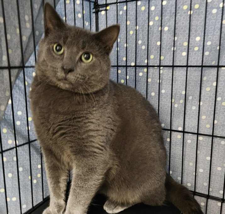 Photo of Smoky