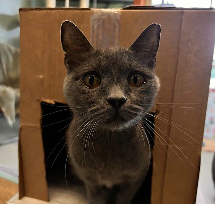 Photo of Sylvie