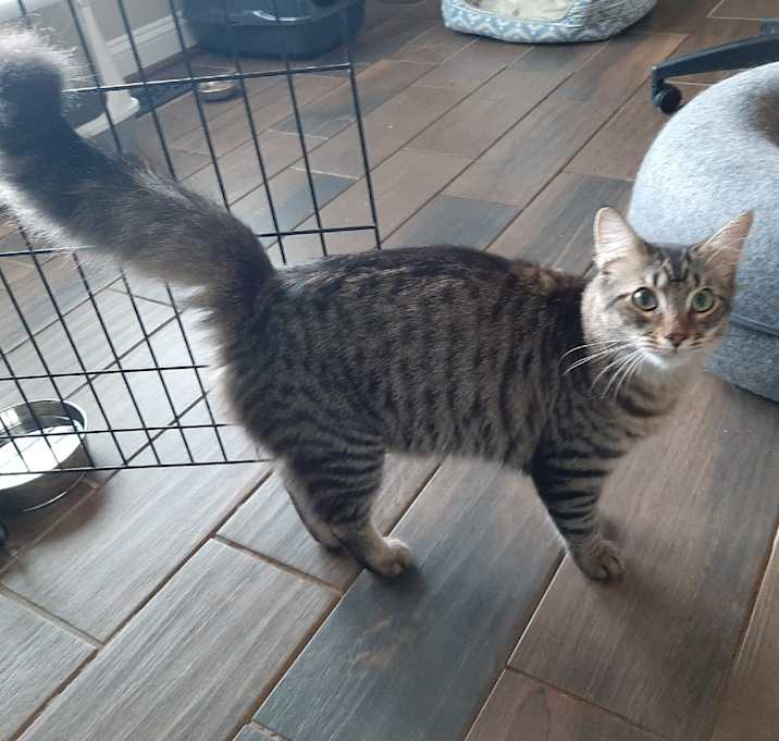Photo of Sweet Jasper