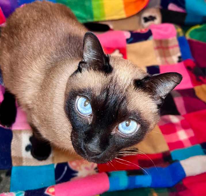 Photo of Fendi