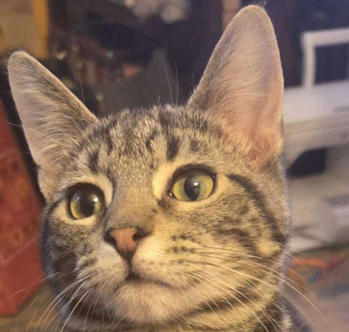 Photo of Luke
