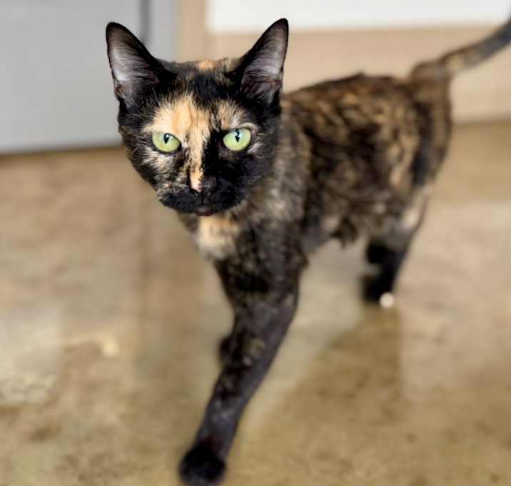 Photo of Hazel