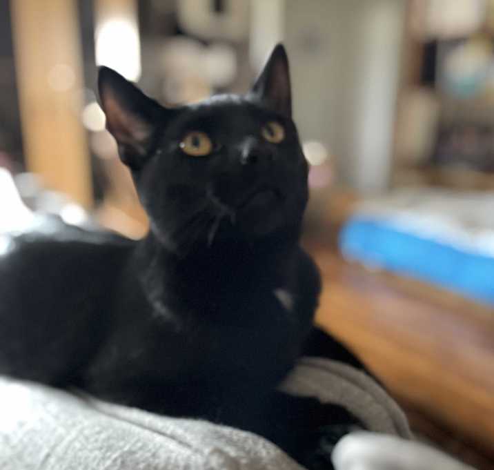Photo of Jupiter
