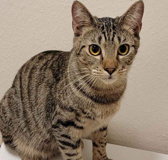 Photo of Umami