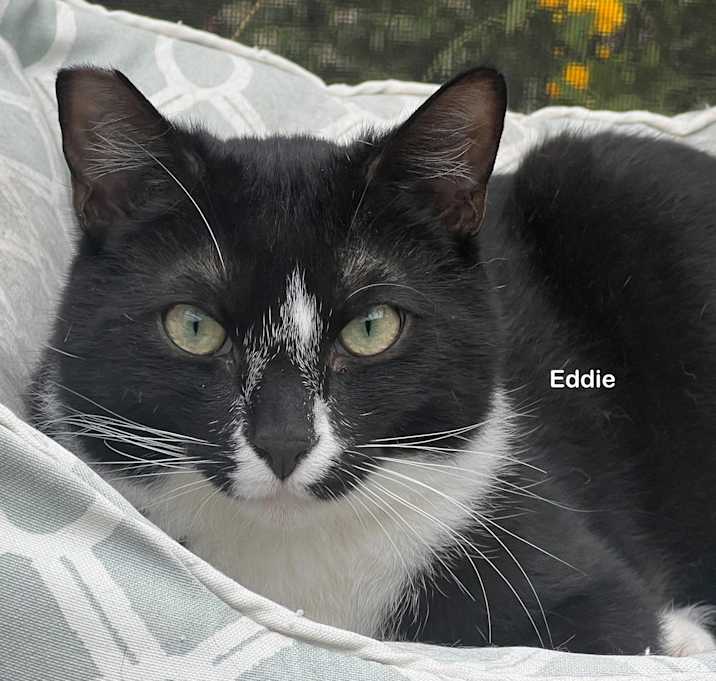 Photo of Eddie