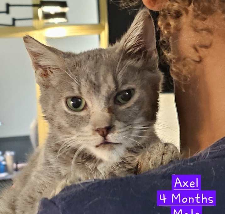 Photo of AXEL