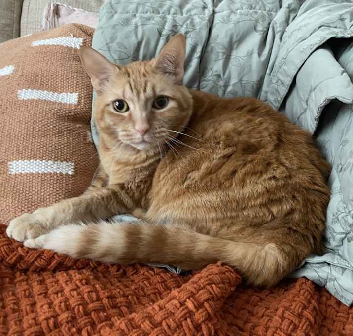 Photo of Penny