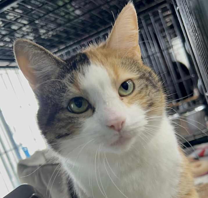 Photo of Millie