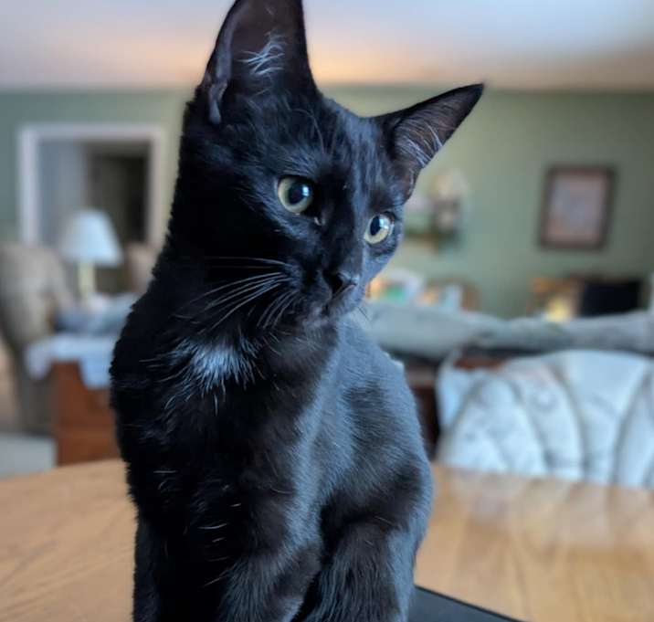 Photo of Skip