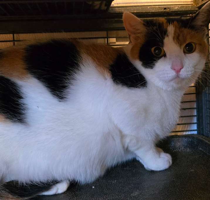 Photo of Mrs. Potts