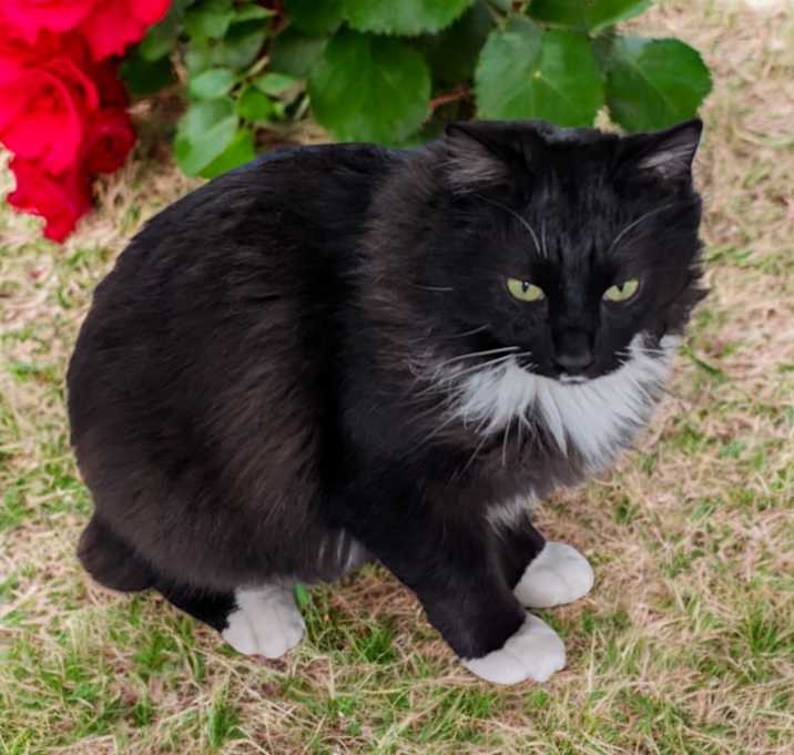 Photo of Max