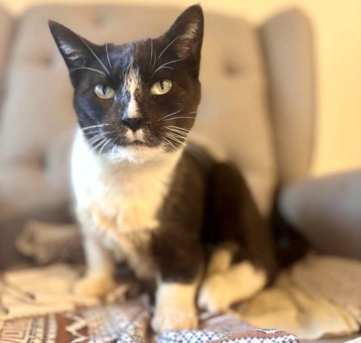 Photo of Leeloo*